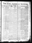 The Afro-American Sentinel 1897-07-31