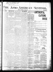 The Afro-American Sentinel 1897-11-20