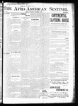 The Afro-American Sentinel 1897-12-04