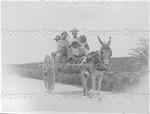 Five People Riding a Wagon Being Pulled by a Donkey