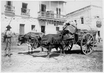 Man Standing with a Cart Carried by Two Oxen