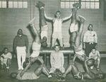 Armstrong High School - Boys Gymnastics Team