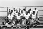 Baseball Players posing in the bleachers by Harold Hargis