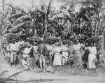 Group of Banana Pickers with Overseer in a Banana Field
