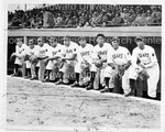 Washington Grays, National Negro League Champions