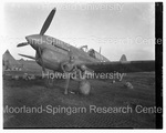 Tuskegee Aviators