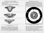 The Biology of the Cell Surface/ The Fertilization Process