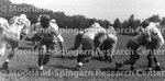 Football - Players - Unidentified 17 - "Morgan Scrimmage"