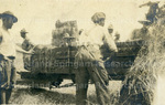 Men Loading Hay onto a Cart